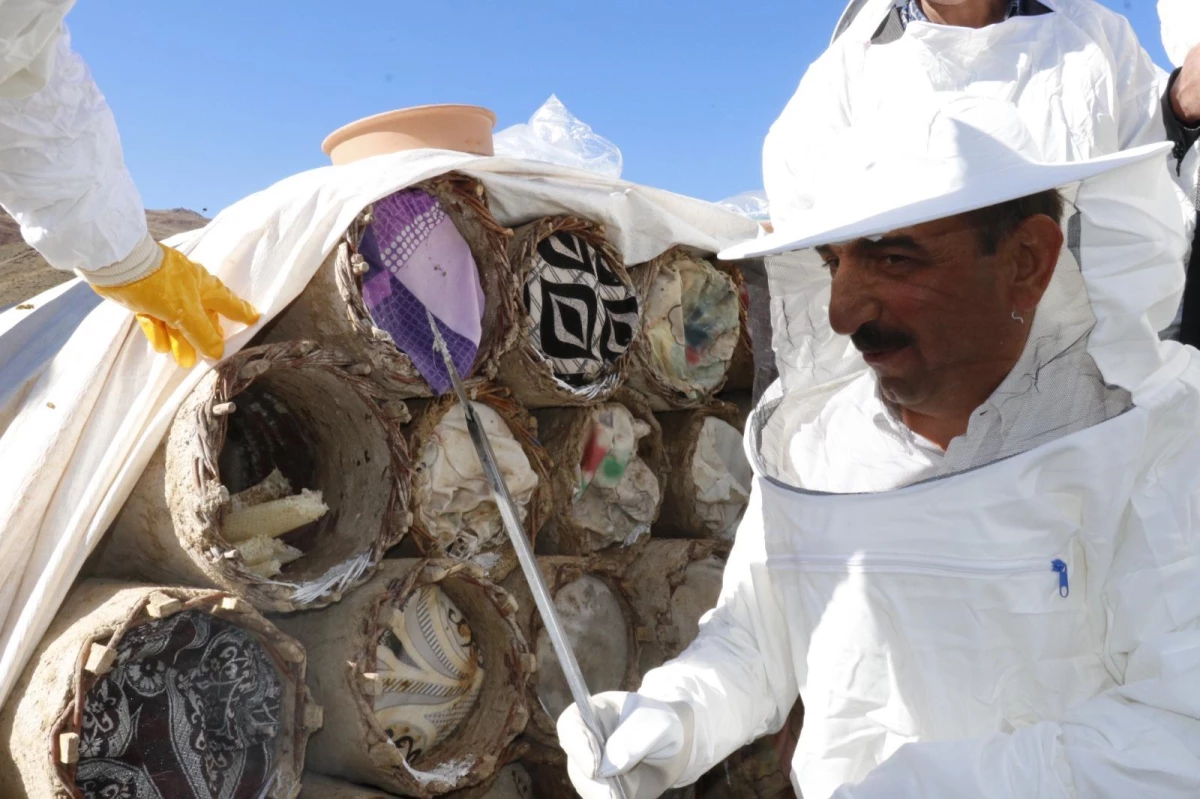 Terörden temizlenen Çemikari Yaylasında bal hasadı yapıldı