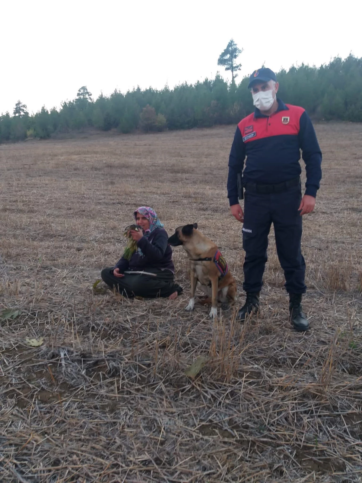 Adana\'da 3 gün önce kaybolan kadın ormanlık alanda bulundu