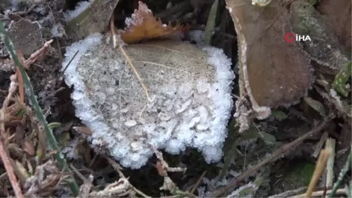 Ardahan\'da soğuk hava etkili oluyor