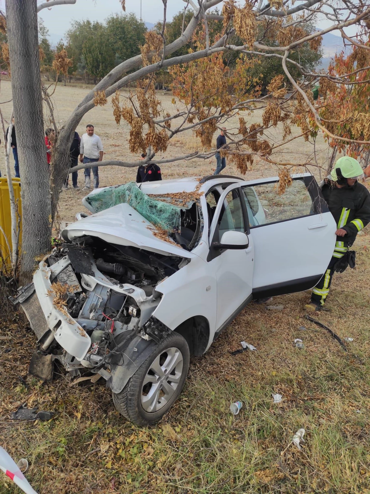Denizli\'de ağaca çarpan otomobildeki kadın öldü, eşi yaralandı