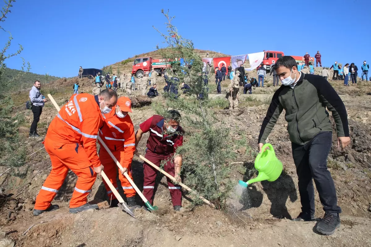 Son dakika haberleri | Hatay\'da yangından zarar gören orman alanlarına 2 milyon fidan dikilecek