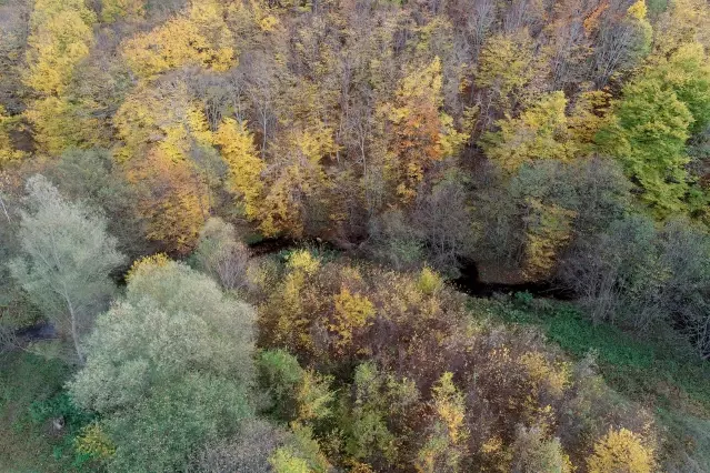 Kırklareli'ndeki Istranca ormanları güz renklerine büründü