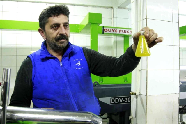 Bursa'da zeytinyağı için yağhanelerde mesai başladı