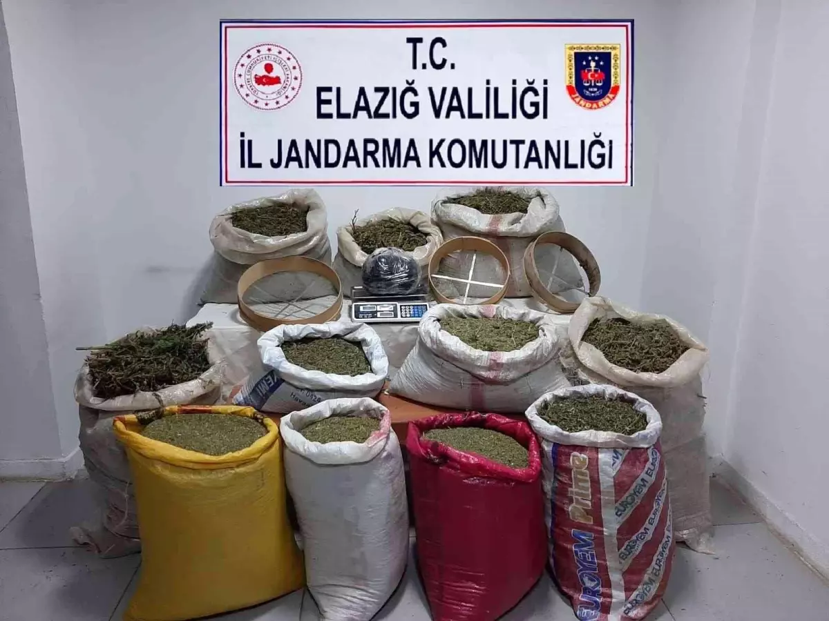 Elazığ\'da 210 kilo esrar, 1 kilo skunk ele geçirildi