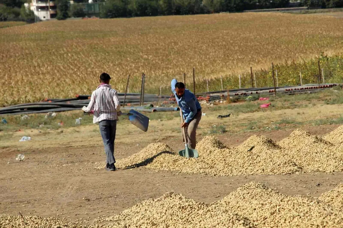 Güven ve huzur ortamı Şırnak\'a yaradı