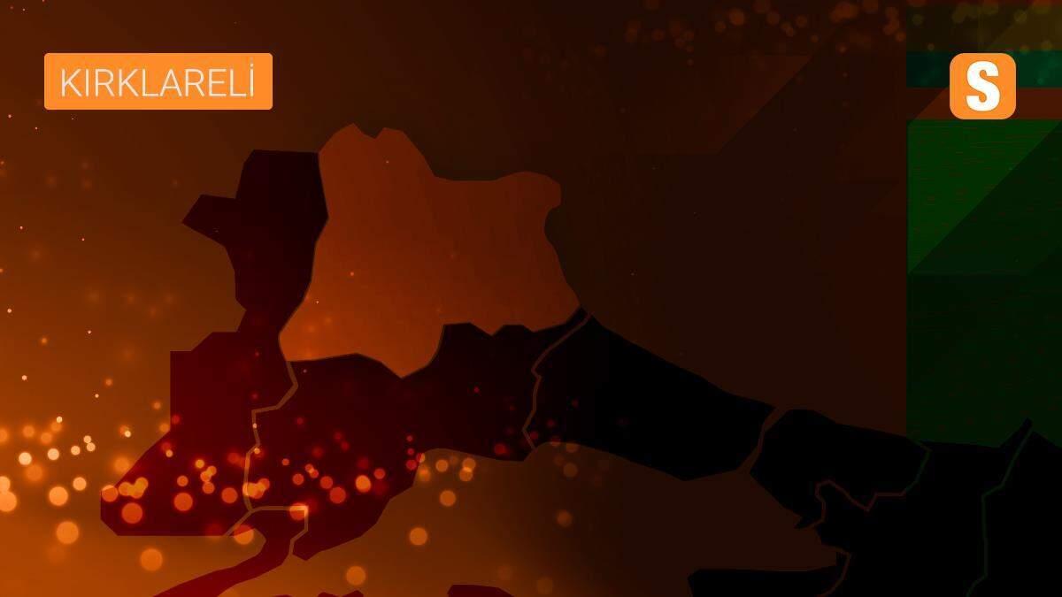 Son dakika haberi... Kırklareli\'nde sahte içki operasyonu, 866 litre sahte içki ele geçirildi