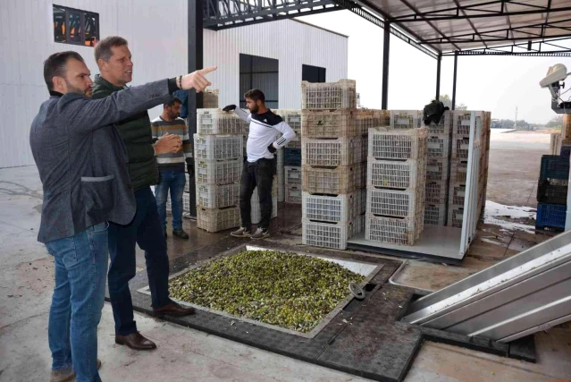 Manisa'dan zeytinyağı ihracatına önemli yatırım