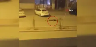 Nusaybin'de silahlı, sopalı kavga: 1 yaralı