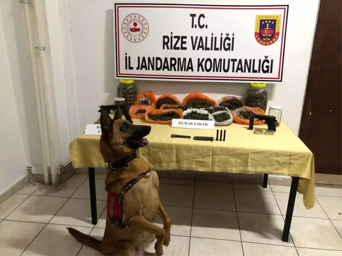 Rize\'de uyuşturucu operasyonu: 2 kişi gözaltına alındı