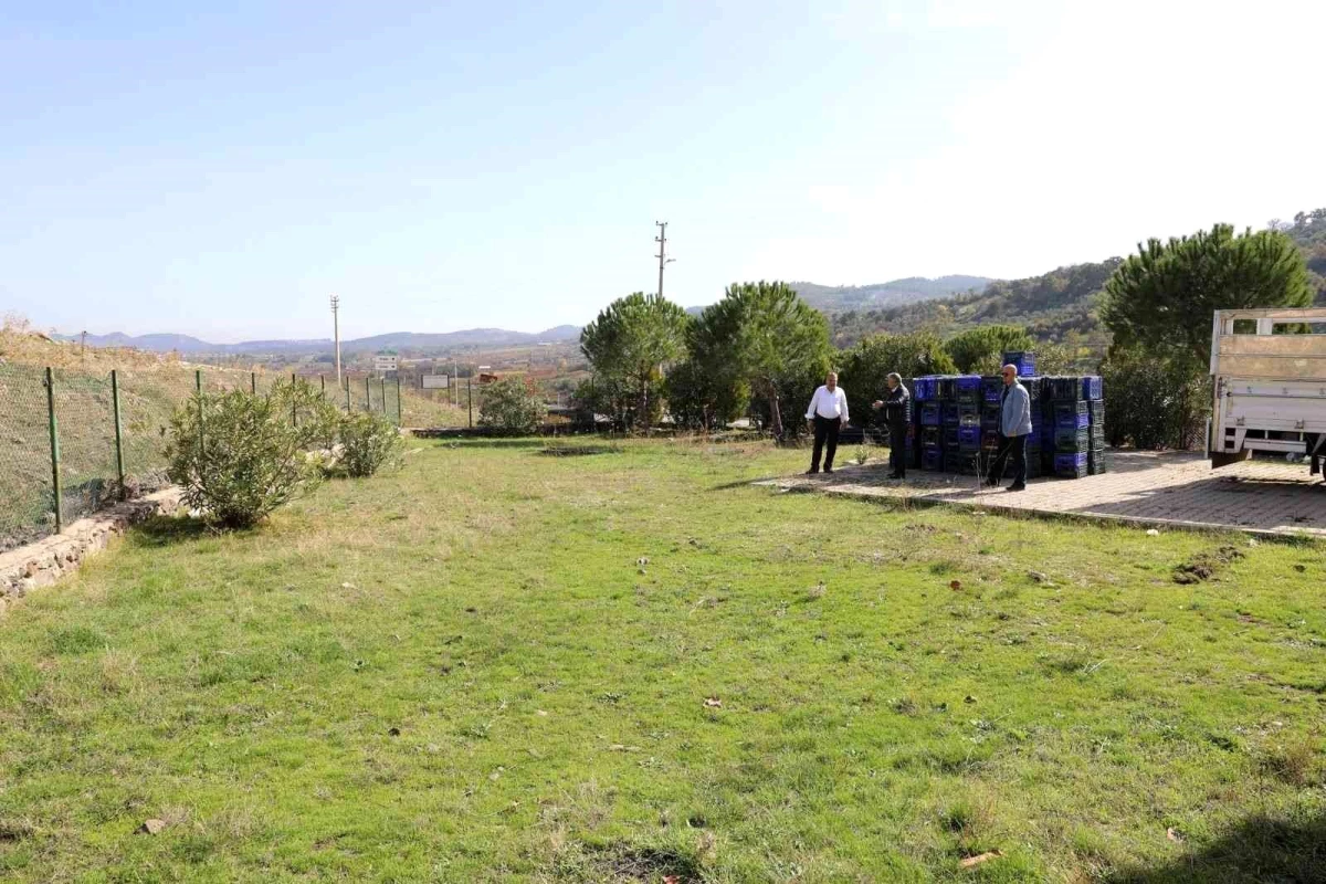 Yunusemre Belediyesinden Türkmen\'e pekmez kaynatma tesisi