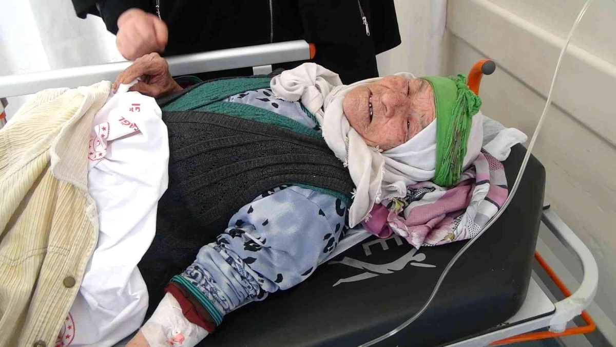 Kaybolan 91 yaşındaki alzheimer hastası kadının hayatta kalma mücadelesi! Ölmemek için çukur kazıp, atkısını üstüne örtmüş