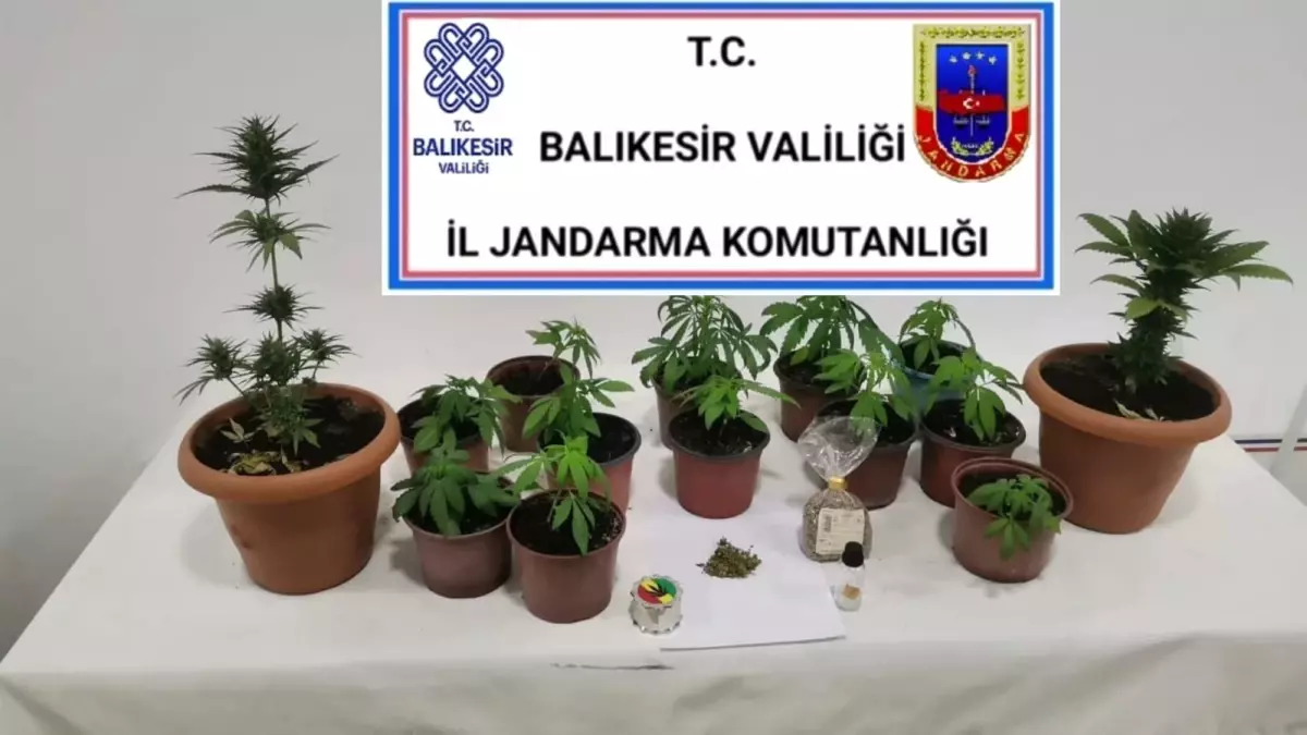 Balıkesir\'de uyuşturucu operasyonu