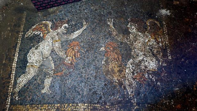 Evin bahçesinde su çıkarmak sondaj yaparken 2700 yıllık Erken Roma mozaiği buldular
