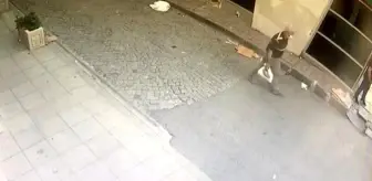 Son dakika! Fatih'te 13 bin Euro ile keçiboynuzu hırsızlığı davasında sanık hakim karşısında