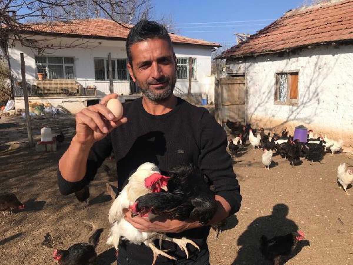 Gazeteciydi, tavuk çiftliği kurdu