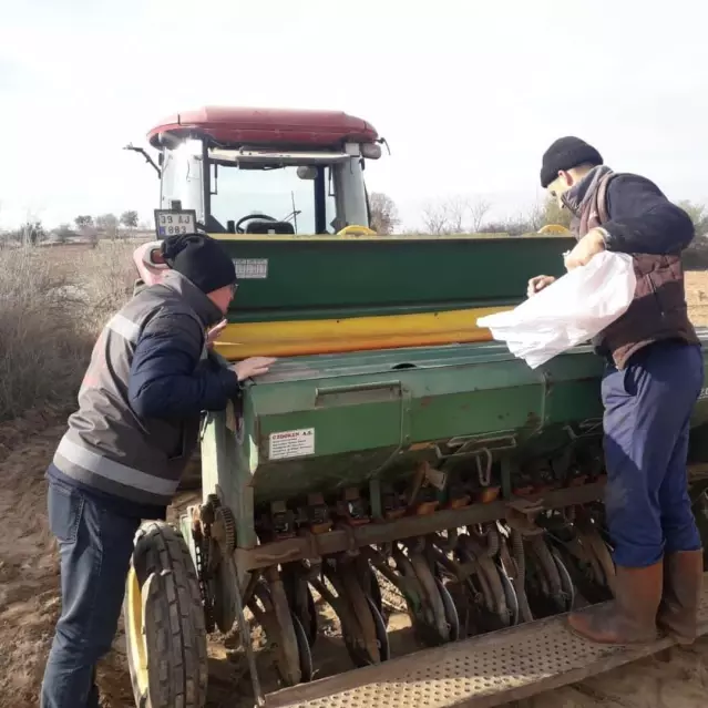 Kırklareli'nde yerli yulaf çeşitleri deneme sahası kuruldu