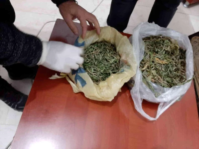 Antalya'da uyuşturucu operasyonunda 2 gözaltı