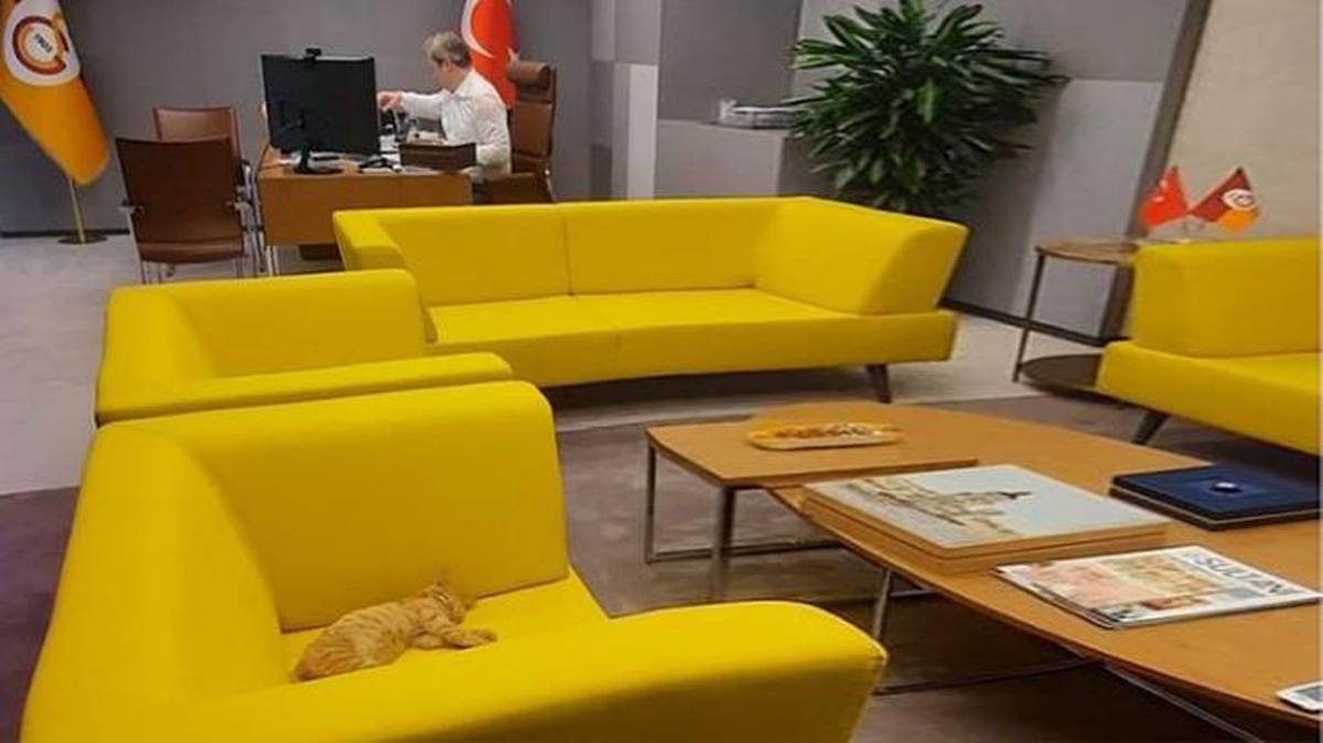 Burak Elmas'tan sahiplendiği Simba'ya samimi sitem! Paylaşımı herkesi gülümsetti