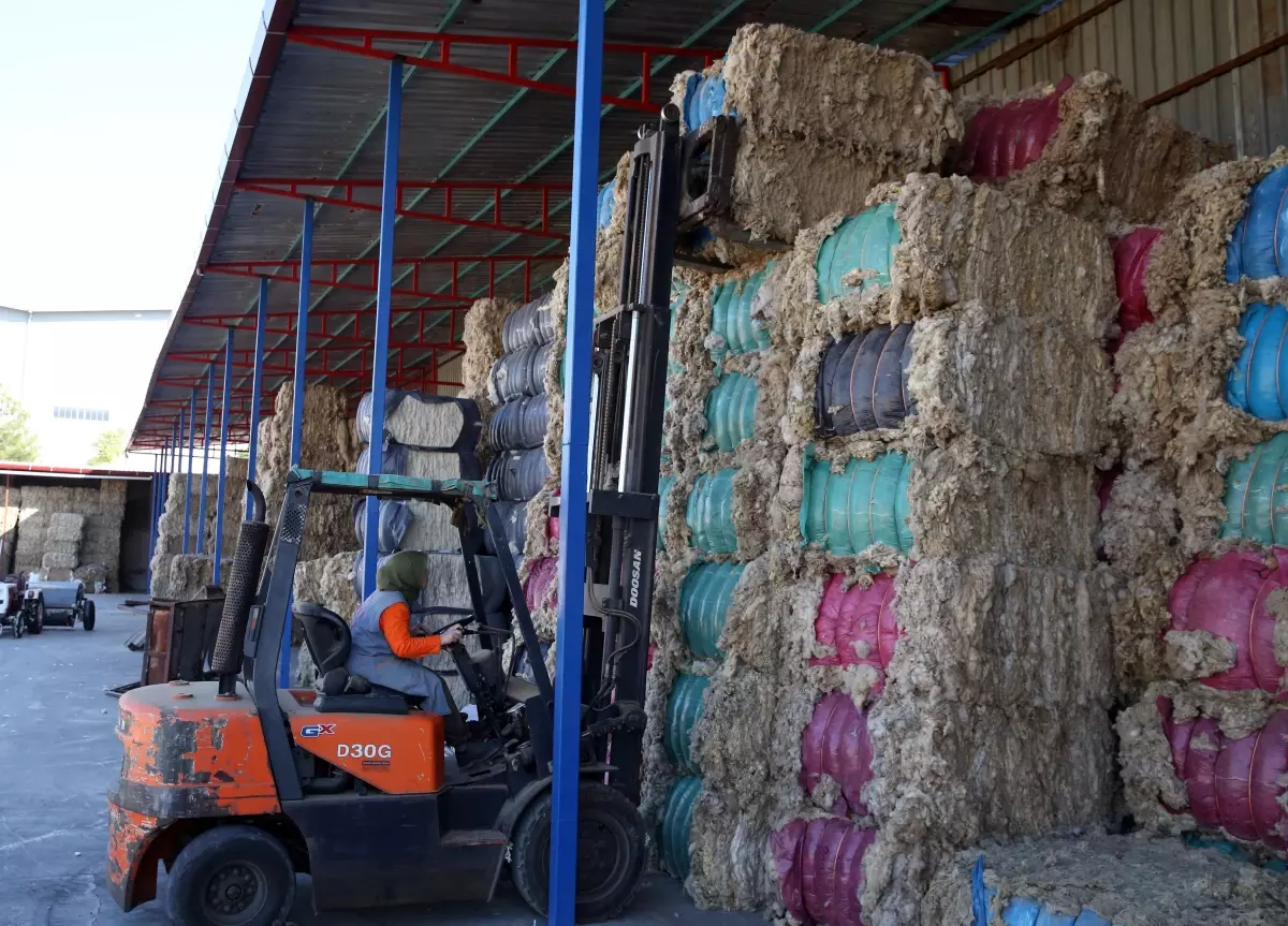 Forklift operatörü iki kadın fabrikanın "yükü"nü taşıyor