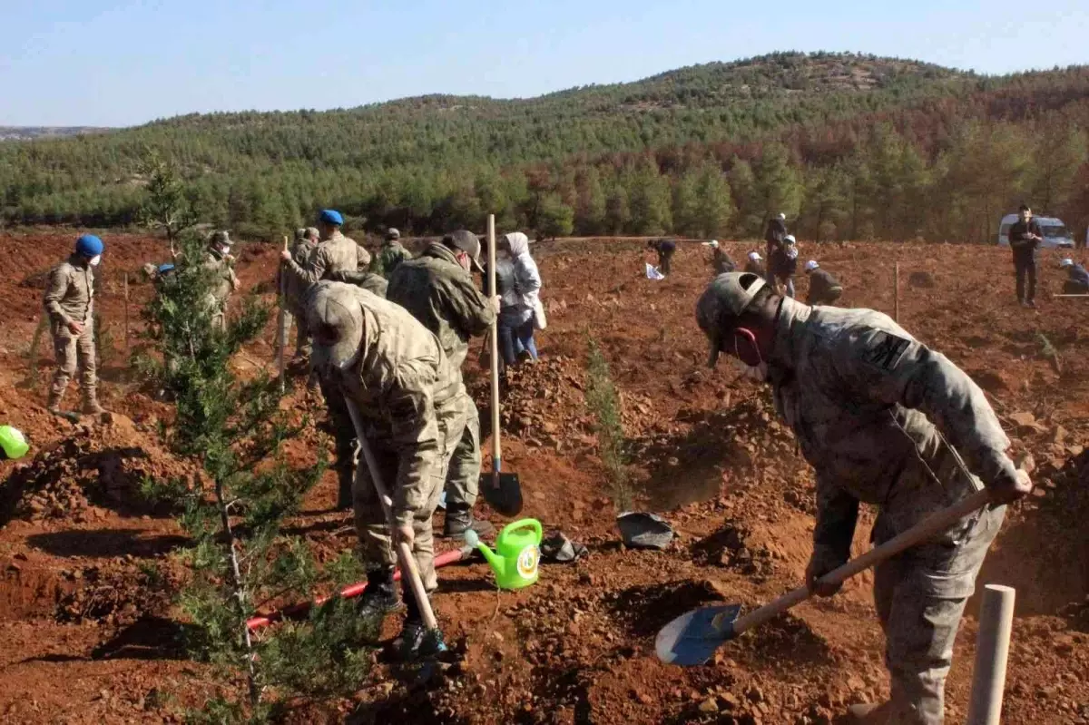 Son dakika 3. sayfa: Jandarmadan fidan dikme etkinliği