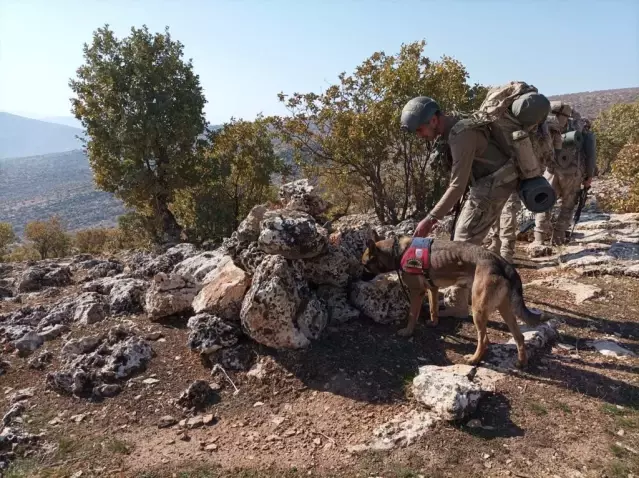 Son dakika haberi: Siirt'te Eren Kış-5 Şehit Jandarma Üsteğmen Ersan Yenici Operasyonu başlatıldı