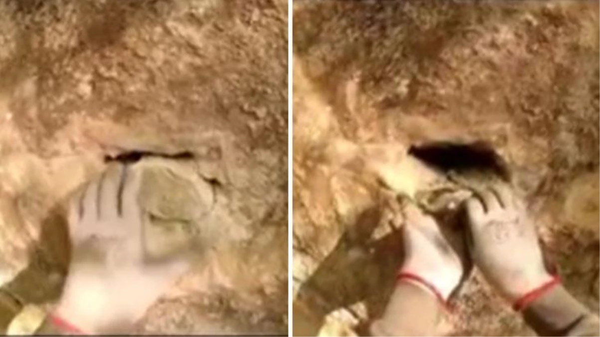 Türk defineci kazı sırasında taş kesilmiş yılan buldu!