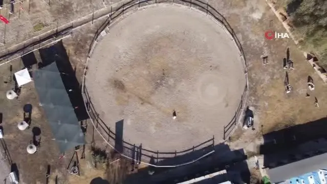 At üzerinde ok attılar, kılıç salladılar