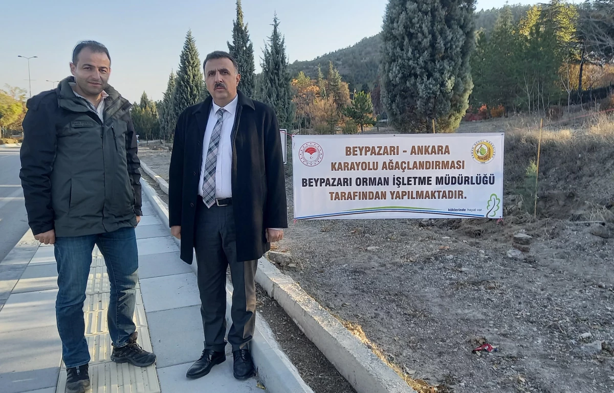 Beypazarı-Ankara kara yolu ağaçlandırılıyor
