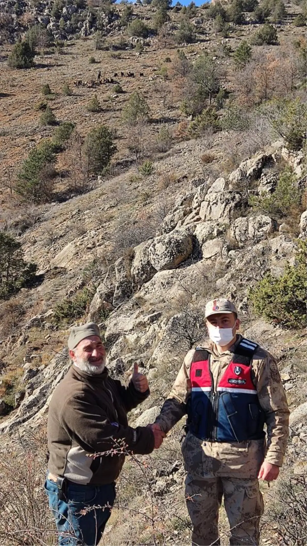 Gümüşhane'de ormanda kaybolan keçiler drone yardımıyla bulundu