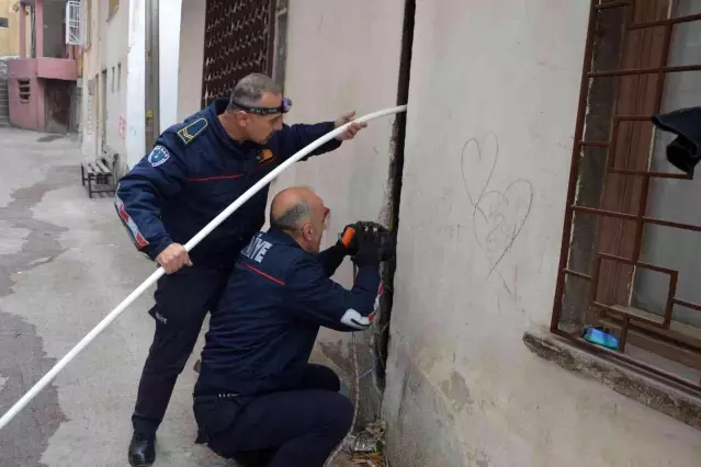 İki evin duvarı arasına sıkışan kedi kurtarıldı