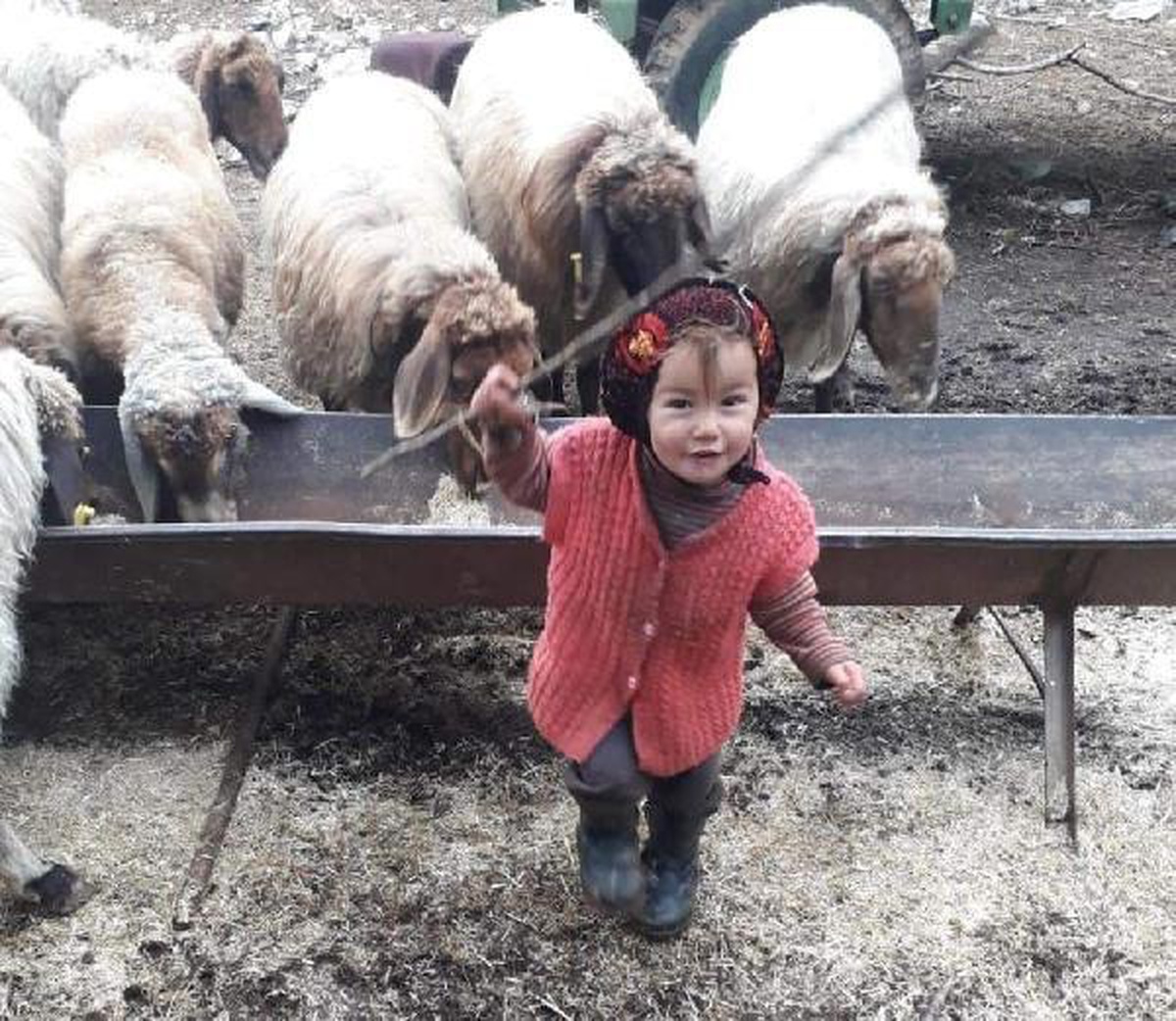 Kayıp Müslüme\'nin 10\'uncu günde cansız bedeni bulundu (2)