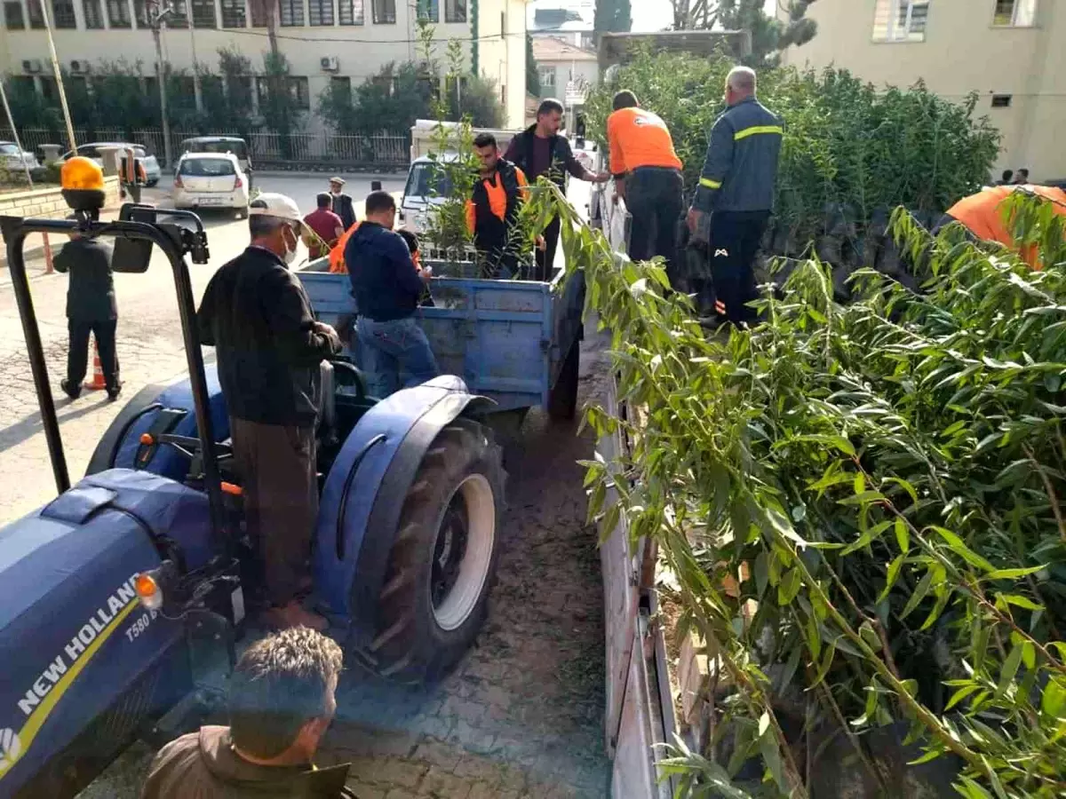 Mut\'ta üreticiye bin 640 badem fidanı dağıtıldı