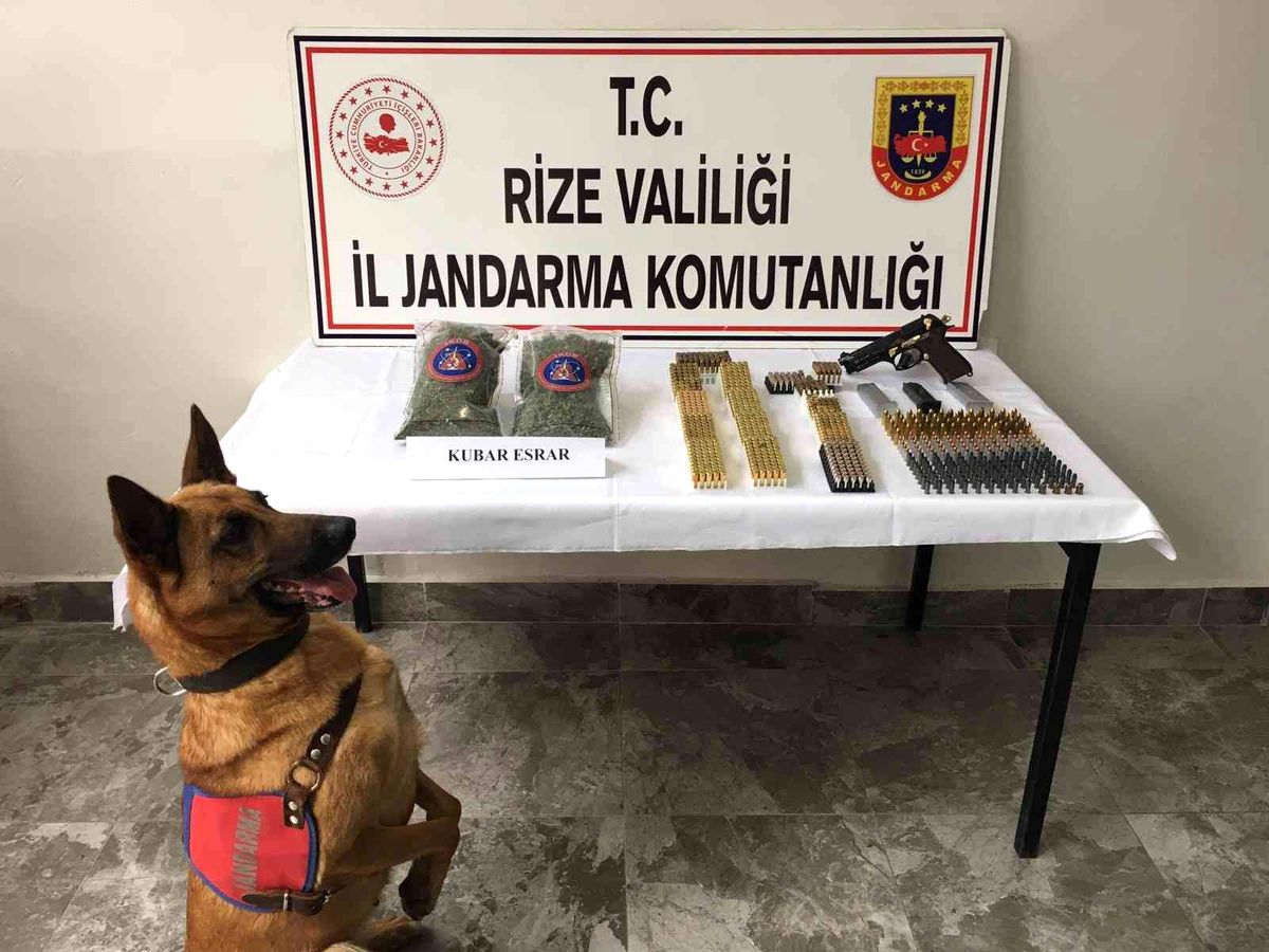 Rize\'de uyuşturucu operasyonu