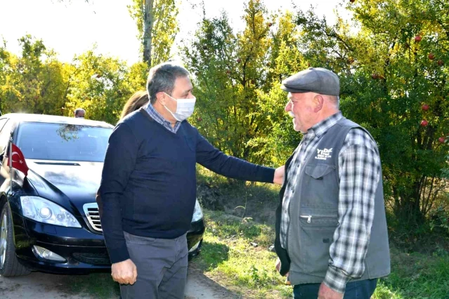 Balıkesir Valisi Şıldak zeytin hasadı yaptı