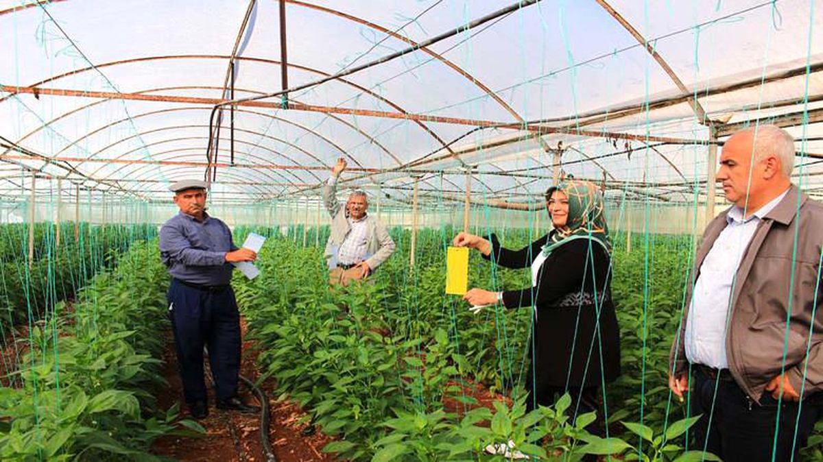 Büyükşehir\'in ücretsiz tuzak dağıtımı sürüyor