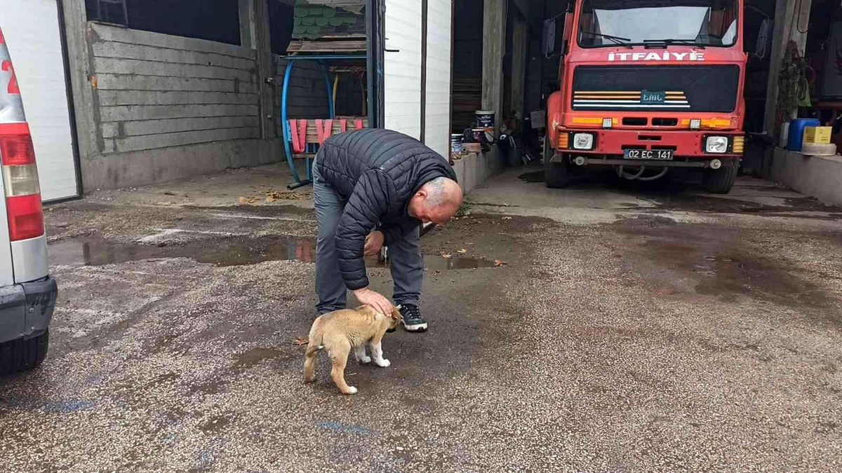 Son dakika haberleri: İtfaiye ekipleri yavru köpeği sahiplendi