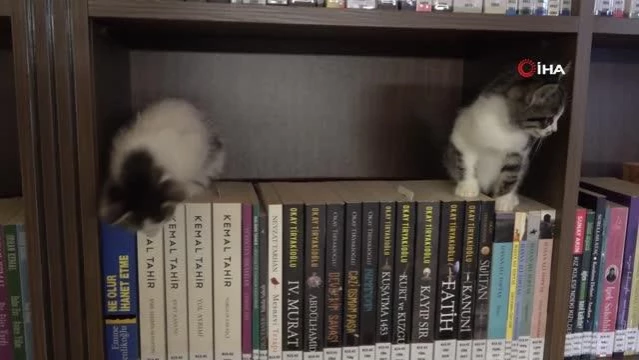 Kedili Tekke Millet Kıraathanesi okurların ilgisini çekiyor