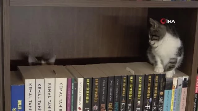 Kedili Tekke Millet Kıraathanesi okurların ilgisini çekiyor