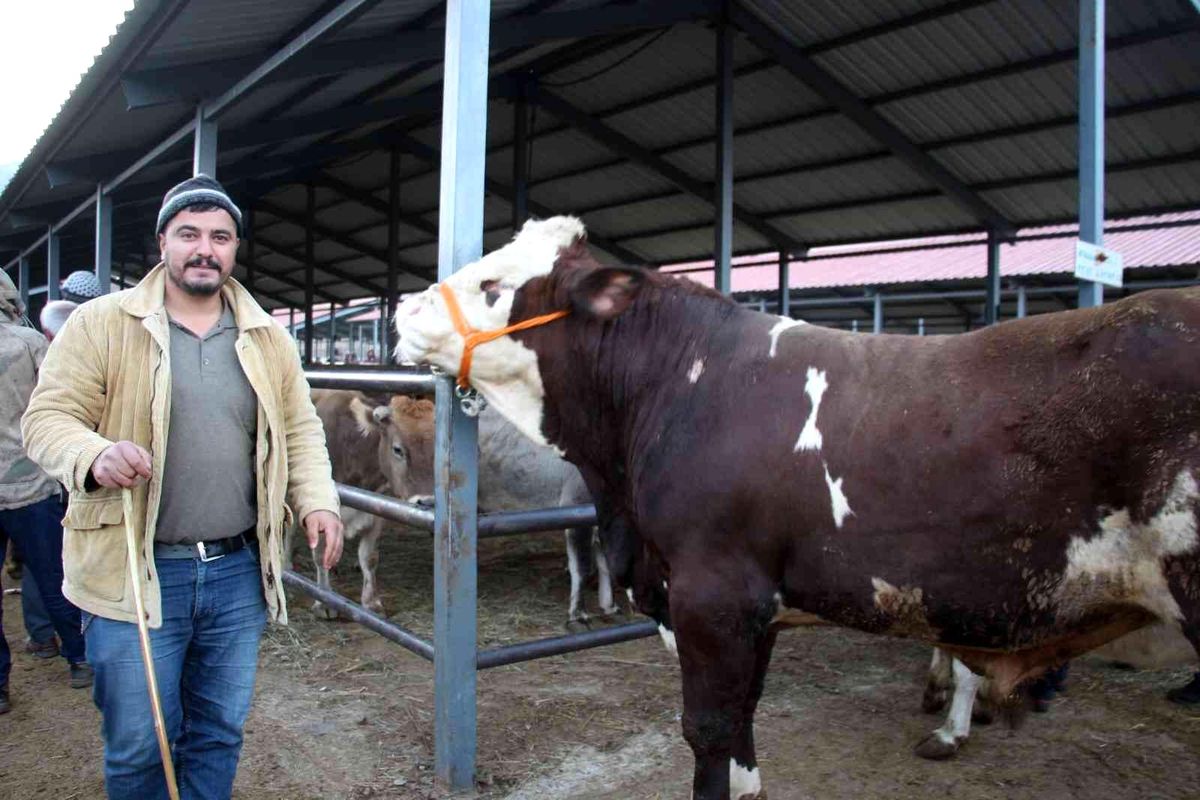 Şahin 21 bin liraya satıldı