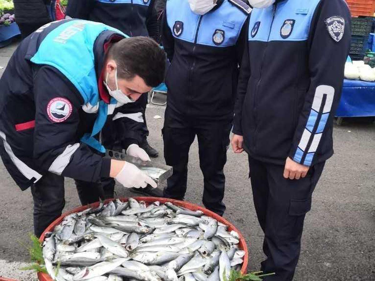 Tekirdağ\'da balıkçılar denetleniyor