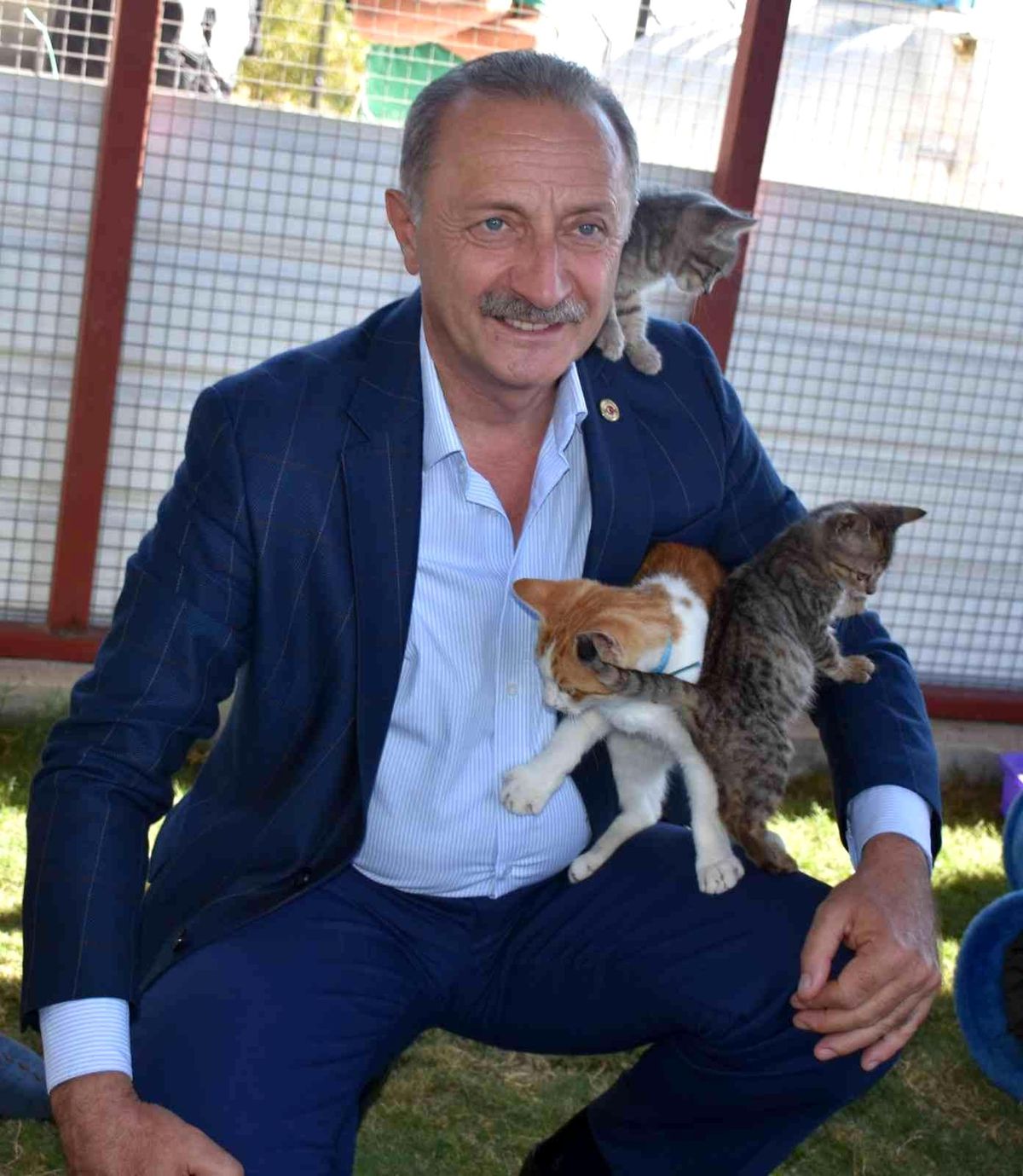 Başkan Atabay, sokak hayvanlarına yapılan kötü davranışları kınadı