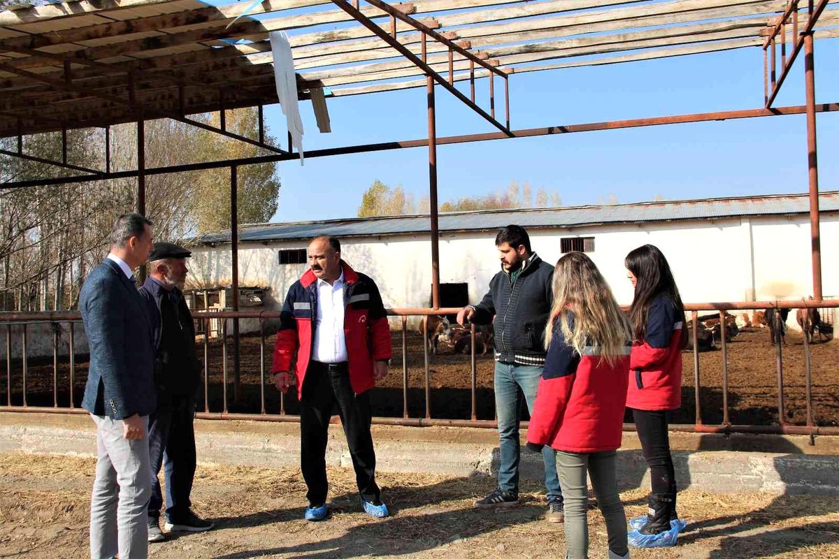 Iğdır\'da hayvan işletmeleri ziyaret ediliyor