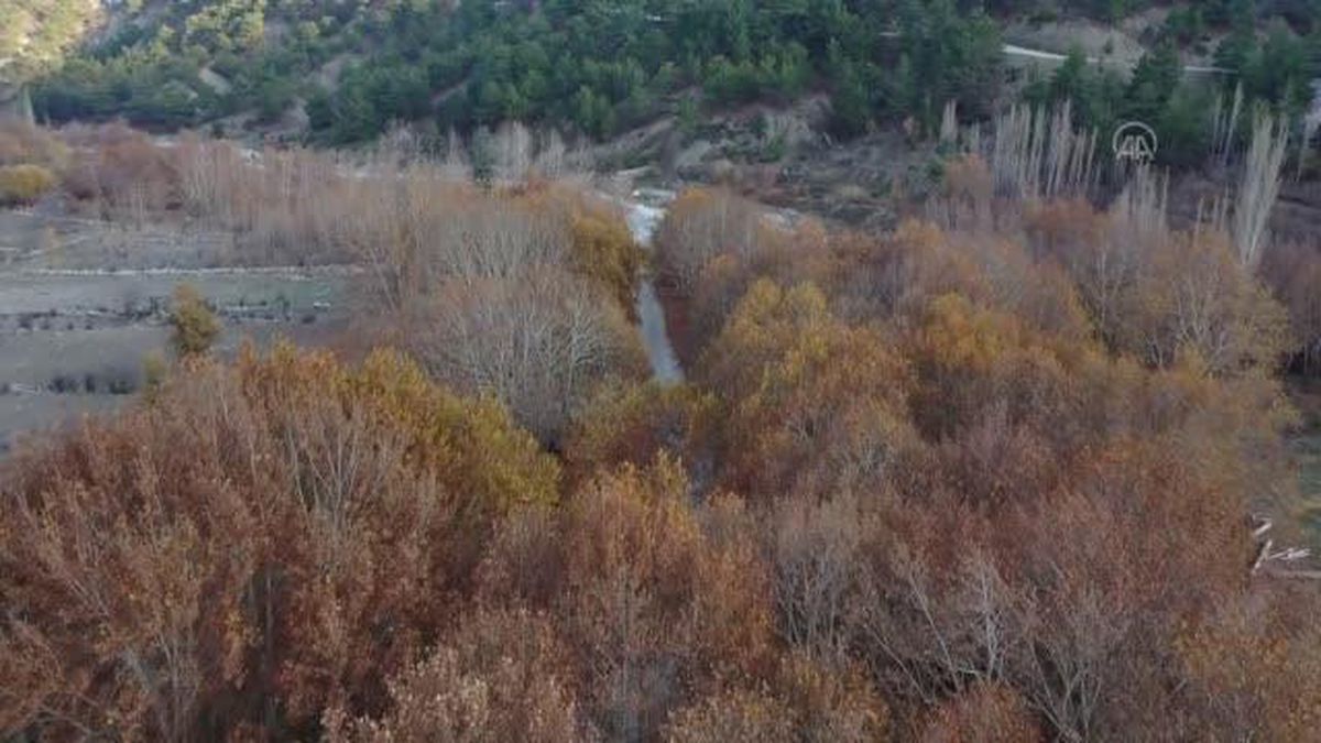 Kaş'ın ormanları güz renklerine büründü