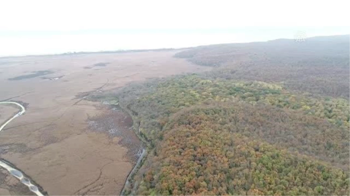 KIRKLARELİ - Longoz ormanları 219 kuş türüne ev sahipliği yapıyor