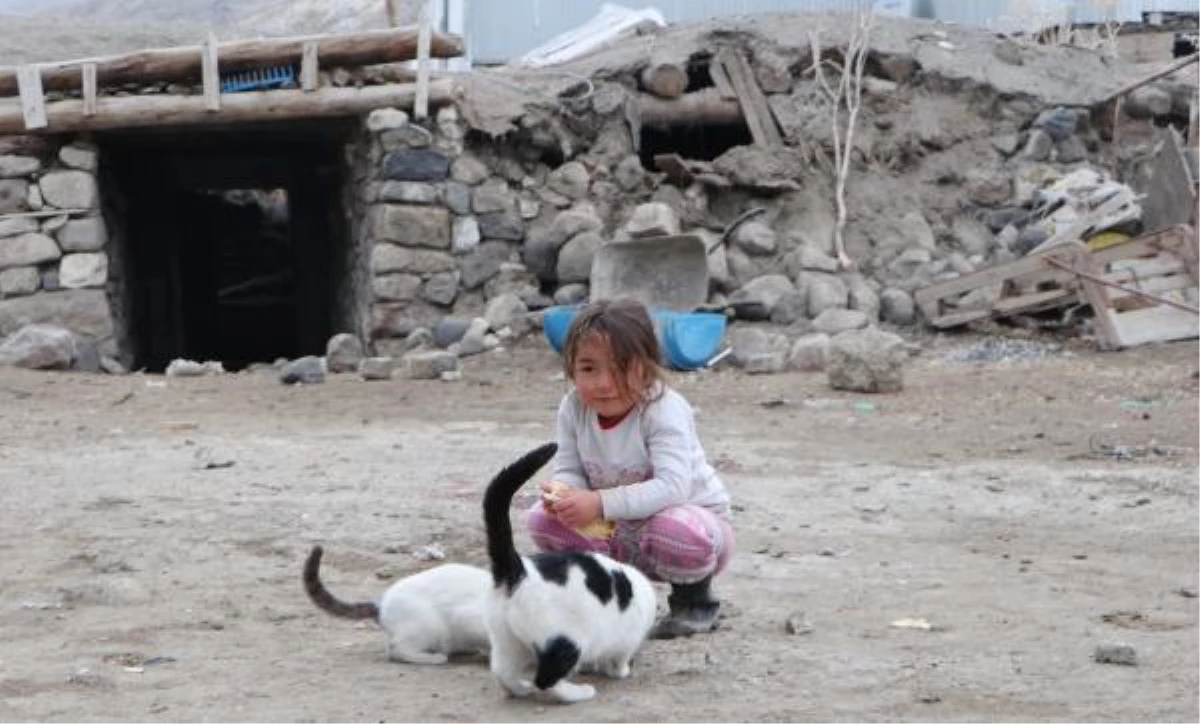 4 yaşındaki depremzede Hira, ekmeğini kedilerle paylaştı