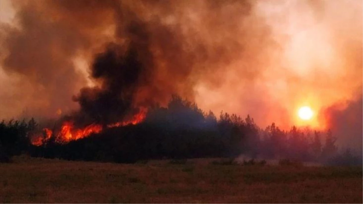 Adalet Bakanı: Hükümlüler orman yangınlarına müdahale edecek