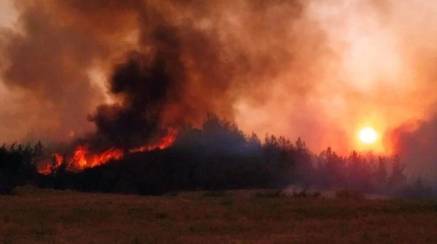 Adalet Bakanı: Hükümlüler orman yangınlarına müdahale edecek