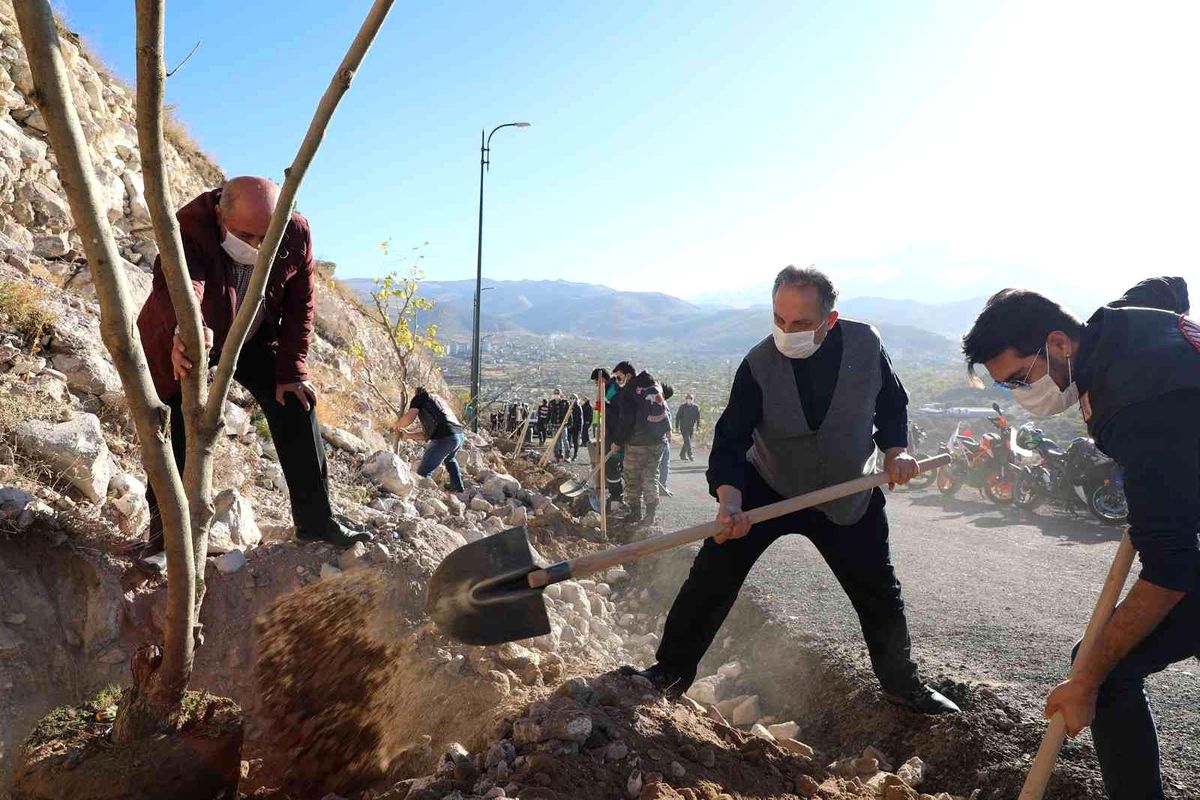 Ali Dağı\'nda 20 bin ağaç toprakla buluştu