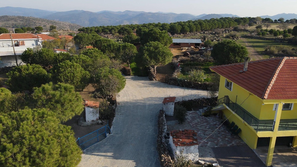 Ayvalık Belediyesi, kırsal mahallelerin yol sorunlarını çözüyor