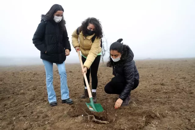 Tıbbi ve aromatik bitkiler ormanında 188 bin fidan toprakla buluştu